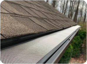 Why Do I Need a Gutter Guard?
